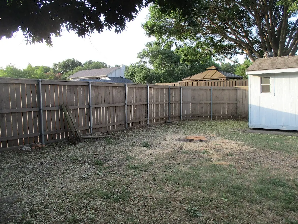 Cleared yard after professional tree removal in Shinglehouse